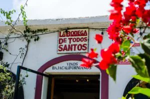 Todos Santos Airport Shuttle