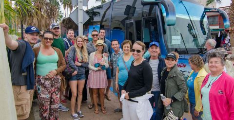 Cabo Shuttle Reviews